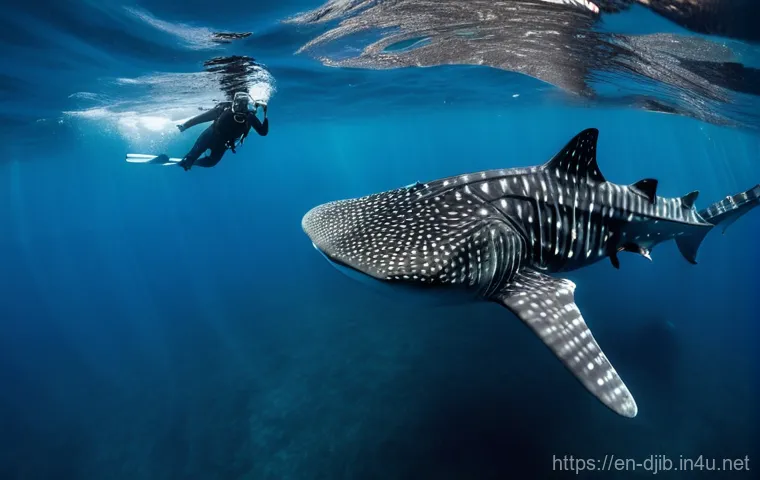 지부티 다이빙 포인트 - **An Undiscovered Arena for Ocean's Gentle Giants:**
    "An immersive underwater photograph capturi...