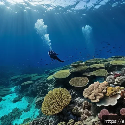 지부티 생물 다양성 보호 - A vibrant underwater scene showcasing the coral reefs along Djibouti&rsquo;s coastline, teeming with diver...
