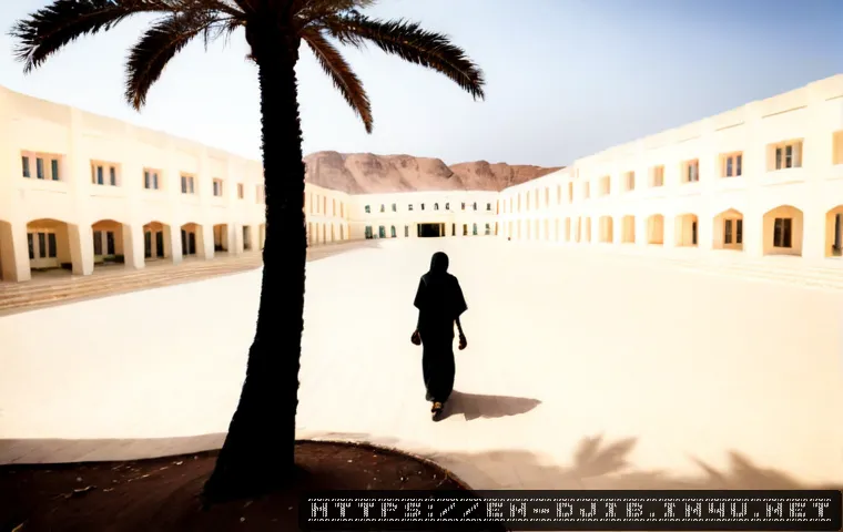지부티 대학 소개 - Photorealistic wide-angle view of a modern university campus in Djibouti City, clean sunlit academic...